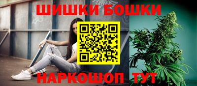 индика Пушкино
